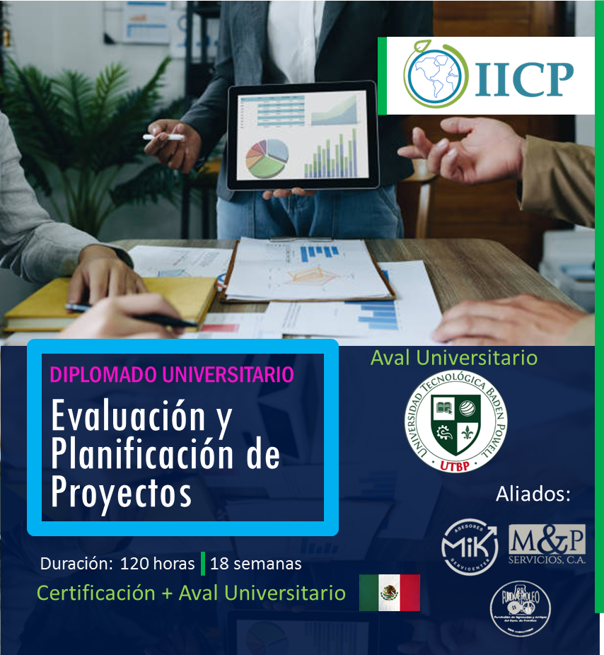Diplomado Universitario en Evaluación y Planificación de Proyectos